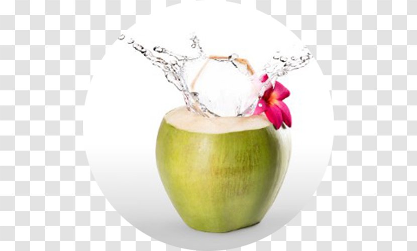 Coconut Water Stock Photography Juice Green - Still Life Transparent PNG