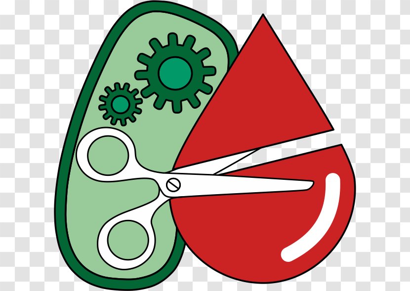 Enzyme International Genetically Engineered Machine Tübingen Protein Tag Glycosylation - Intein - World Blood Donor Day Transparent PNG