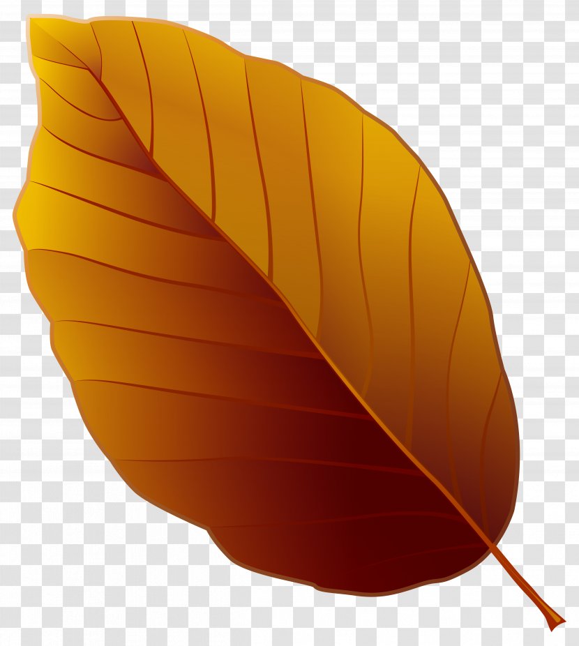 Image File Formats Filename Extension Computer - Orange - Autumn Leaf Clipart Transparent PNG