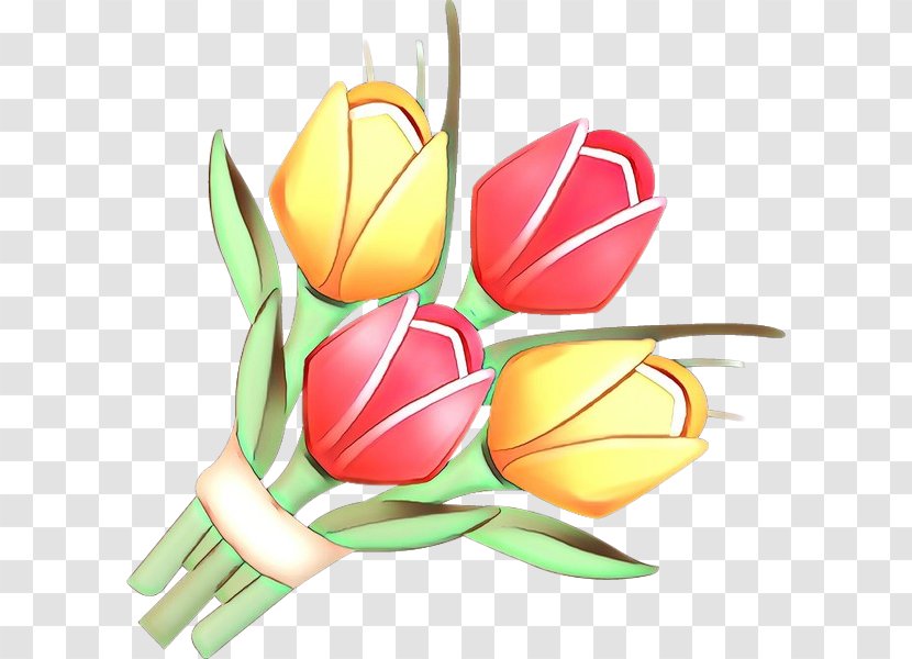 Flowers Background - Petal - Bud Plant Transparent PNG