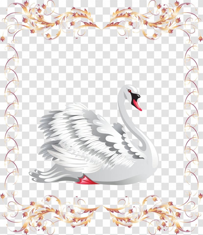 Black Swan Photography Clip Art - Water Bird - Beautiful Transparent PNG