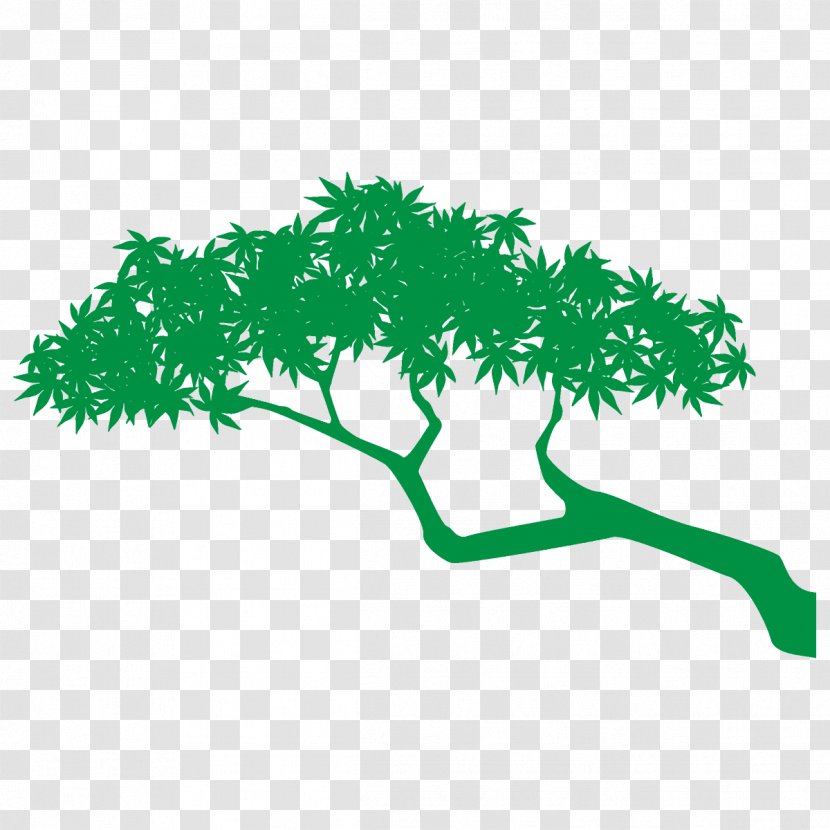 Arbor Day - Plant Stem Transparent PNG