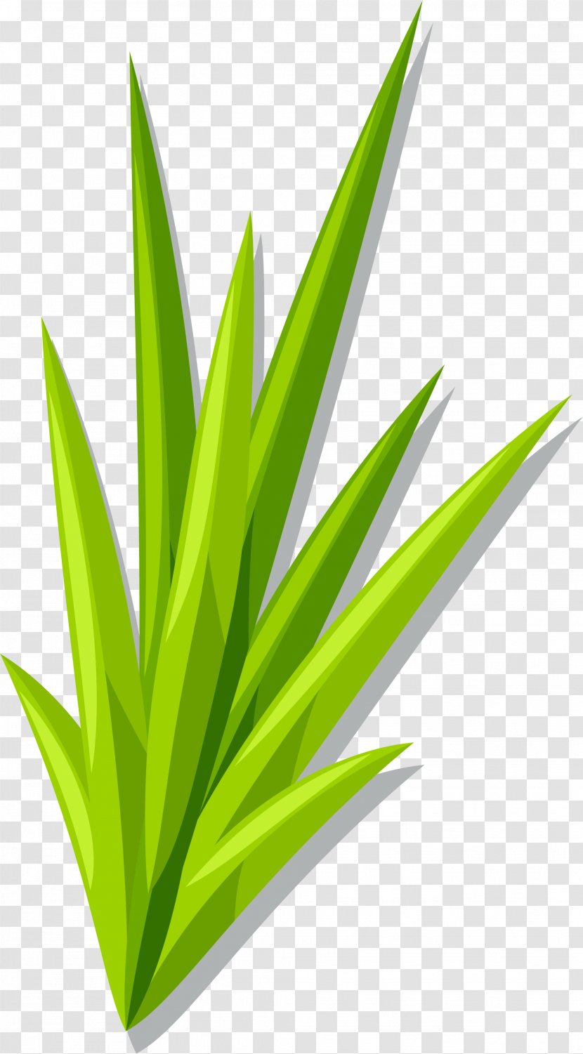 Green Cartoon Grass - Frame - Silhouette Transparent PNG