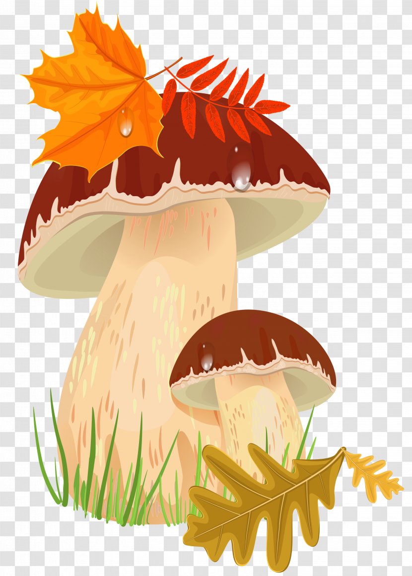 Penny Bun Edible Mushroom Autumn Clip Art - Orange - Fall Mushrooms Clipart Picture Transparent PNG