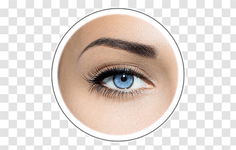 Microblading Eyebrow Permanent Makeup Cosmetics Hair - Star Aesthetics - Eyebrows Transparent PNG