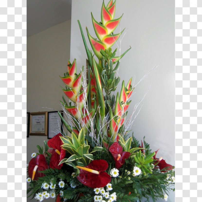 Floral Design Floreria Sacuanjoche Cut Flowers Floristry - Flower Transparent PNG
