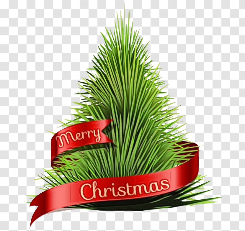 Christmas And New Year Background - Red Pine Evergreen Transparent PNG