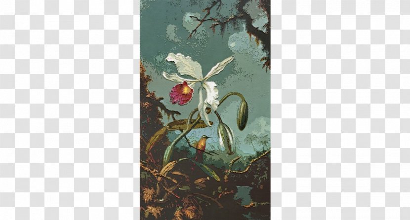 Still Life Orchid And Hummingbird Painting Artist - Flora Transparent PNG