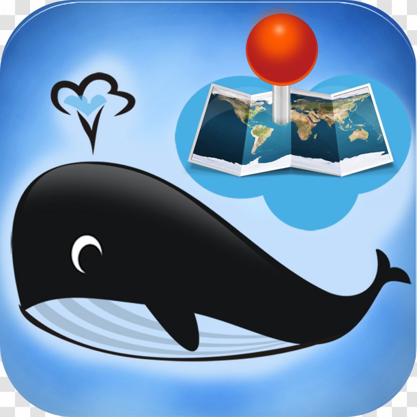Cetacea Dolphin Poster Clip Art - Drawing Transparent PNG