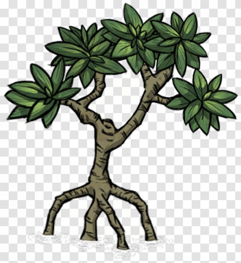 Mangrove Tree Don't Starve Plant Biome - Game Transparent PNG