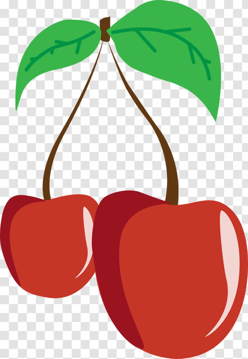Cherry Fruit Nutrition Clip Art - Flowering Plant Transparent PNG