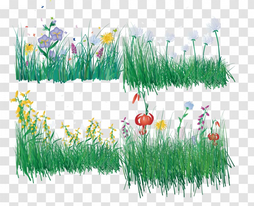 Green GRASS GIS - Flower - Vector Grass Transparent PNG