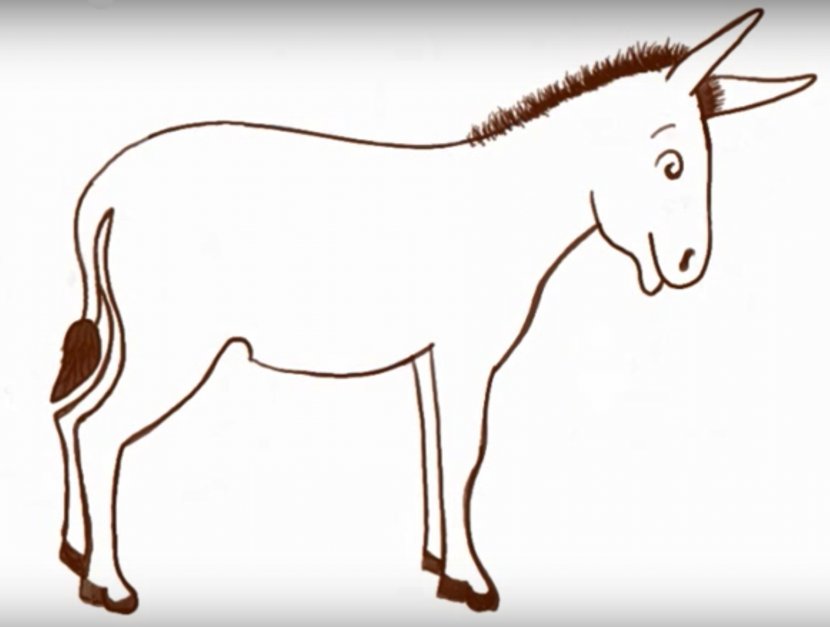 Donkey Drawing Cartoon How-to - Livestock Transparent PNG