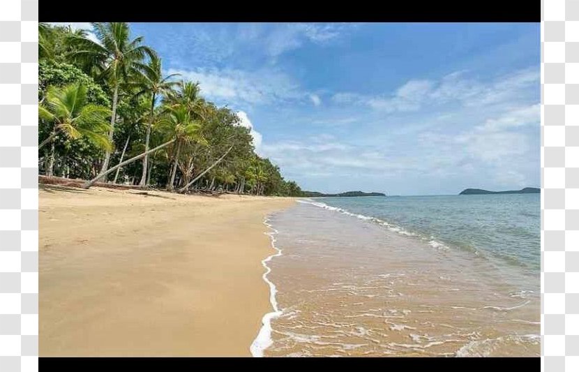 Beach Caribbean Shore Sea Coast Transparent PNG