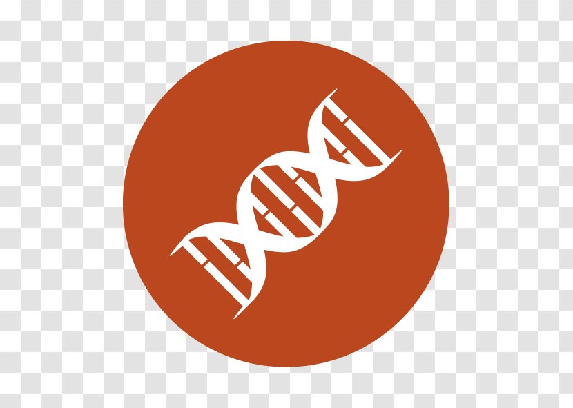 Symbol DNA Clip Art - Orange - Biology Transparent PNG