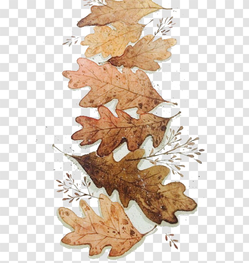 Watercolor Painting Illustration - Wood - Autumn Leaves Transparent PNG