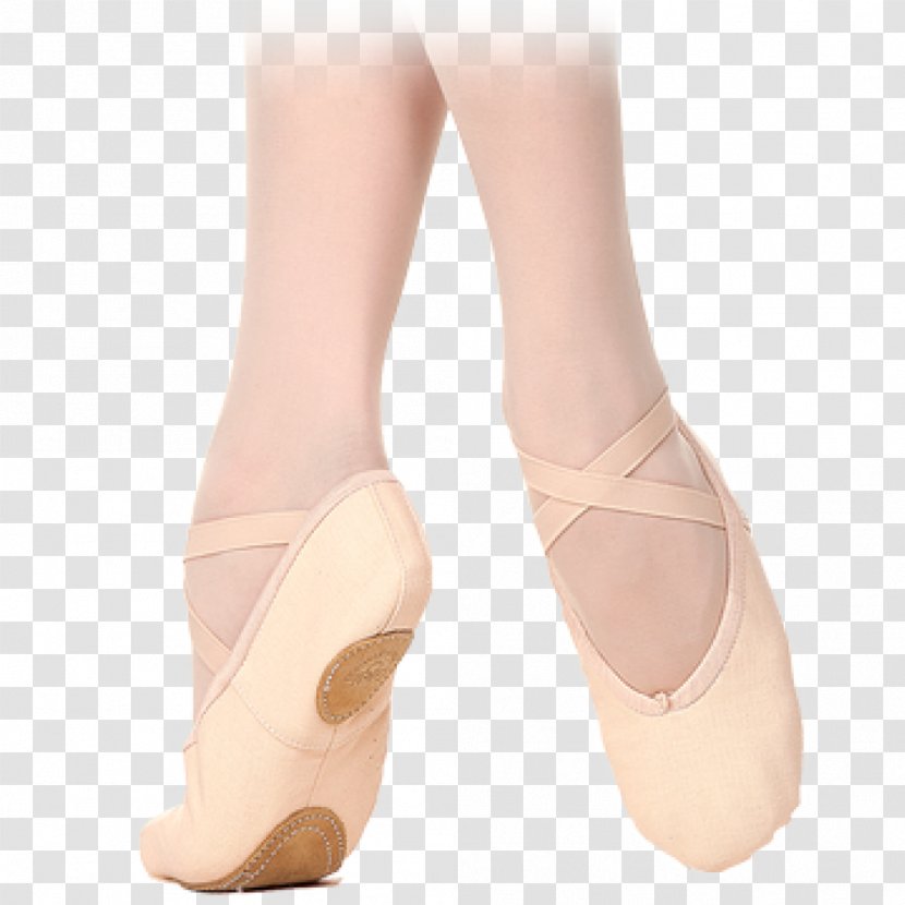 Ballet Flat Shoe Slipper Pointe - Watercolor Transparent PNG