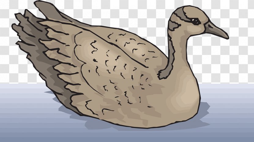 Goose Cygnini Bird Clip Art - Pixabay - Lake Swimming Ducks Transparent PNG