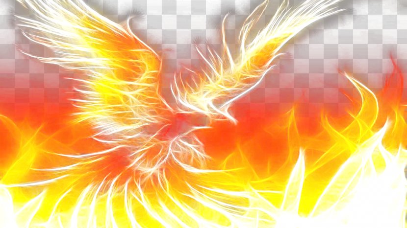 Phoenix Download High-definition Video Wallpaper - Organism - Flaming Phenix Transparent PNG