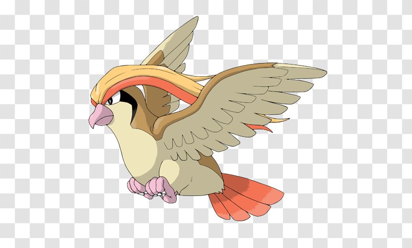 Pidgeotto Pokémon Omega Ruby And Alpha Sapphire Drawing - Bird Of Prey - Pokemon Transparent PNG