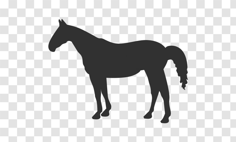 American Quarter Horse Clip Art Vector Graphics Illustration Western Pleasure - Pack Animal - Silhouette Transparent PNG
