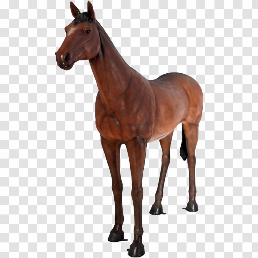 Equestrian Statue American Quarter Horse Animal Sculpture - Bridle - Fondo De La Pancarta Transparent PNG
