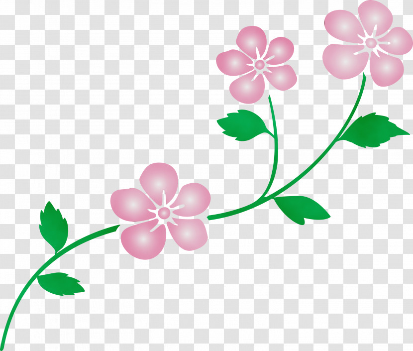 Flower Leaf Plant Pink Petal Transparent PNG