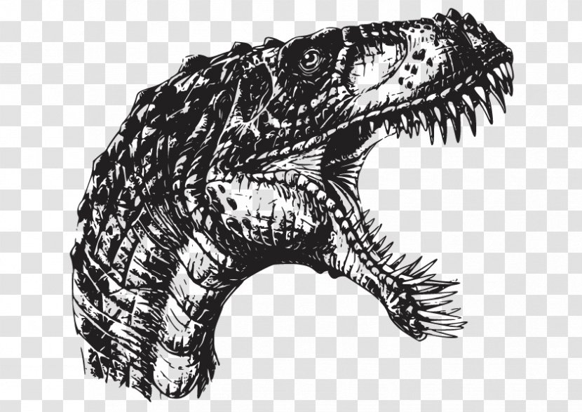 Crocodile Velociraptor Masiakasaurus Spinosaurus Deinonychus - Monochrome - Vector Transparent PNG