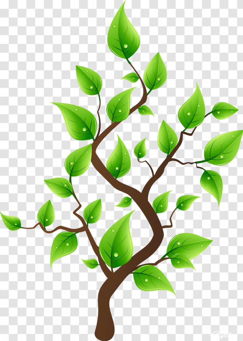 Tree Planting Drawing Clip Art - Animation - Branch Transparent PNG