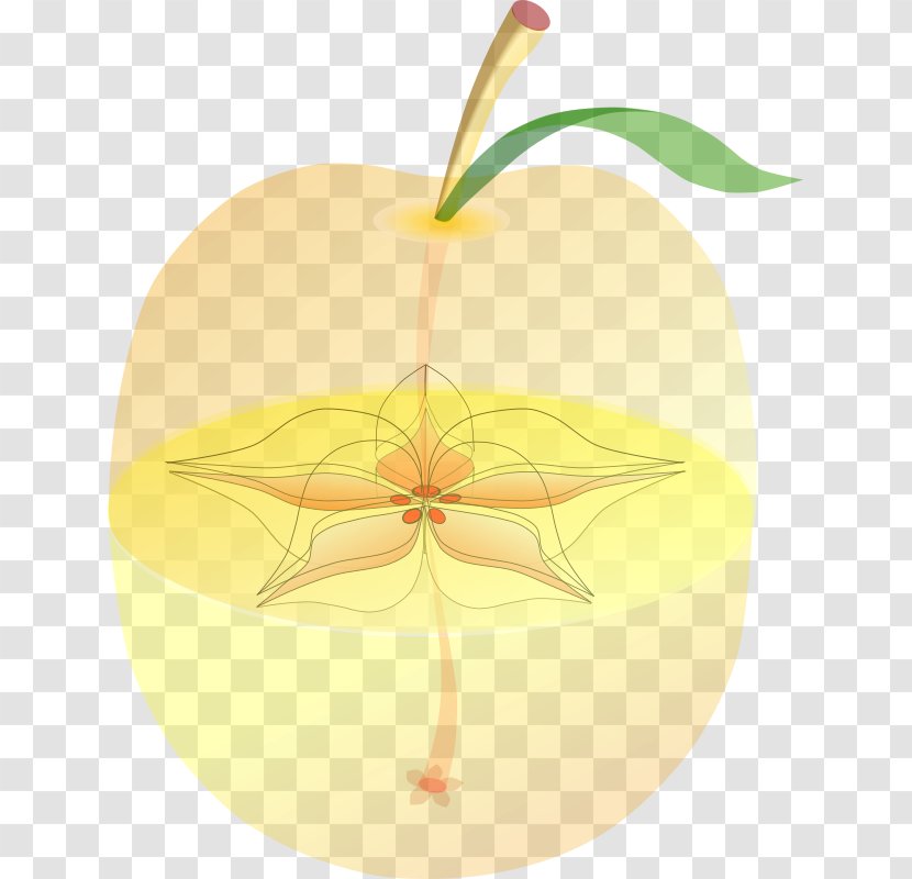 Apple Fruit Clip Art - Yellow Transparent PNG