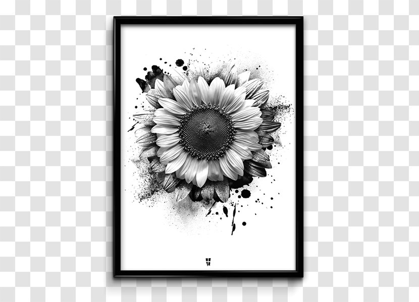 Poster Omega Phi Beta Monochrome Photography - Flower - Sunflower Leaf Transparent PNG