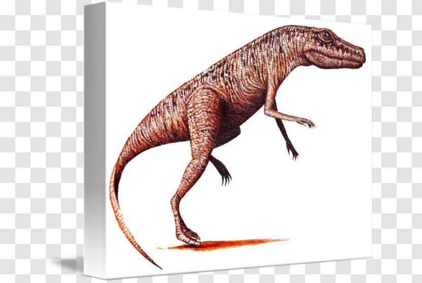 Tyrannosaurus Velociraptor Terrestrial Animal - Archosaur Transparent PNG