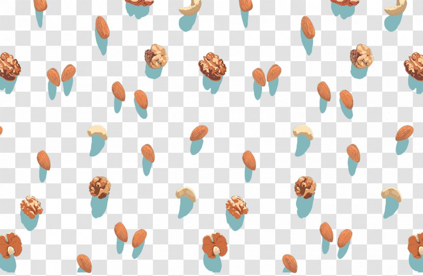 Walnut Almond Apricot Kernel - Walnuts Almonds Background Patterns Transparent PNG