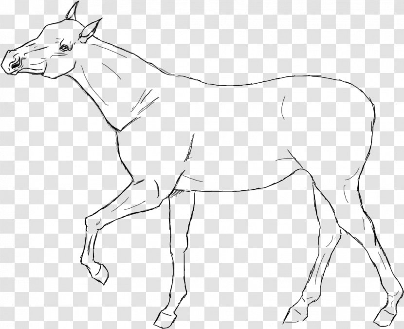 Line Art American Quarter Horse Racking Drawing - Painting - Lineart Transparent PNG