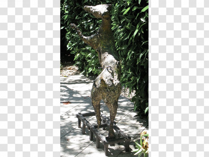Fauna Garden Tree Statue Lawn - Flora Transparent PNG