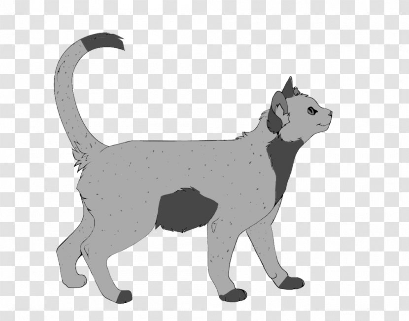 Whiskers Dog Cat Puma Tail Transparent PNG