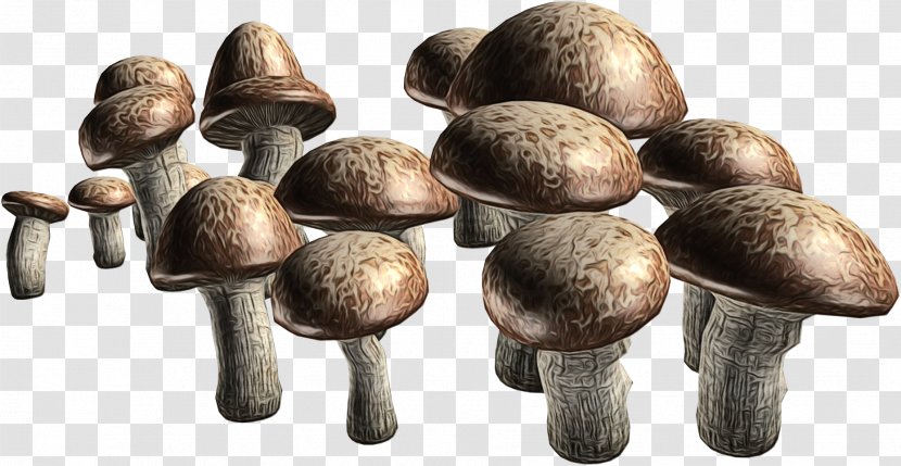 Mushroom Cartoon - Food - Oyster Pleurotus Eryngii Transparent PNG