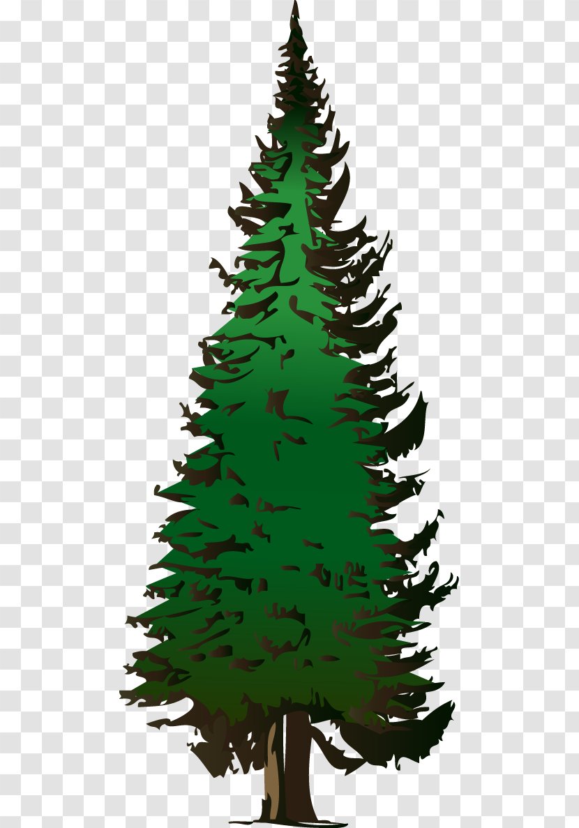 Pine Tree Clip Art - Evergreen - Cliparts Free Transparent PNG