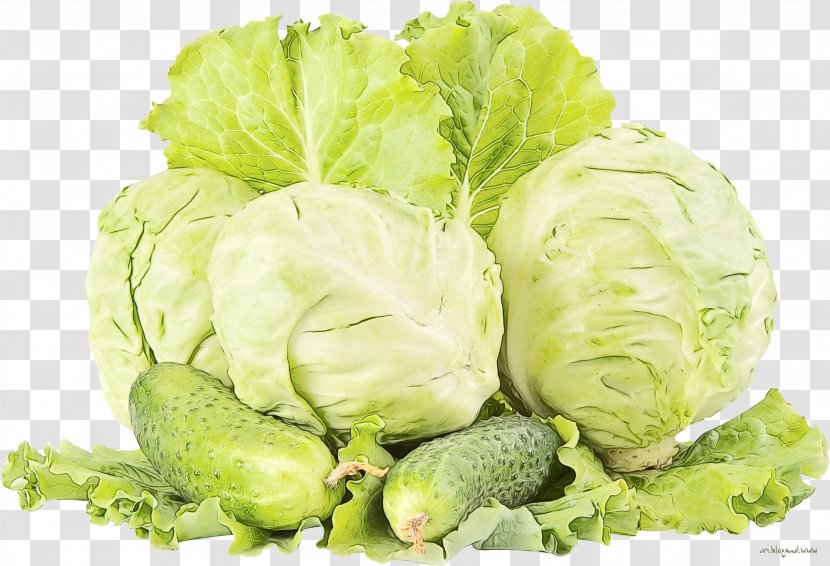 Spring Flower - Wild Cabbage - Side Dish Vegan Nutrition Transparent PNG