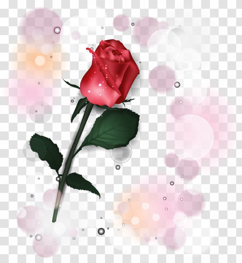 Garden Roses Desktop Wallpaper Centifolia Love - Heart - Art Museum Transparent PNG