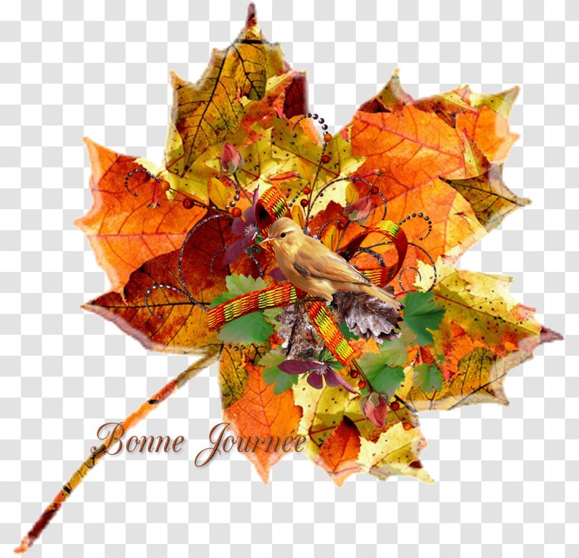 Autumn Leaf Color Pillow Cushion Transparent PNG