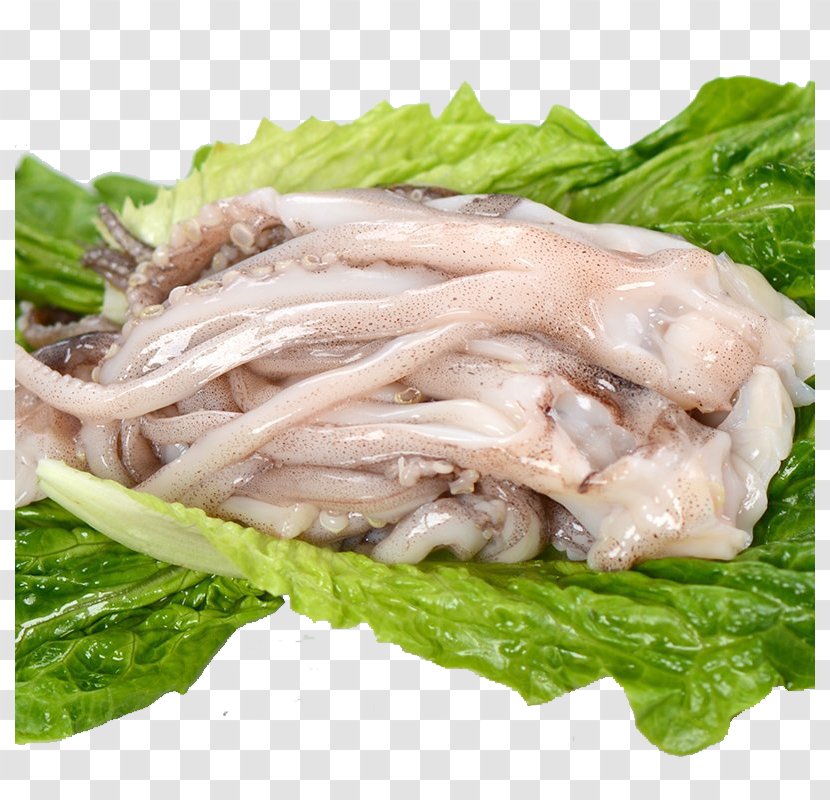 Squid As Food Barbecue Grill Chuan Taobao - Leaf Vegetable - Juice Head Transparent PNG