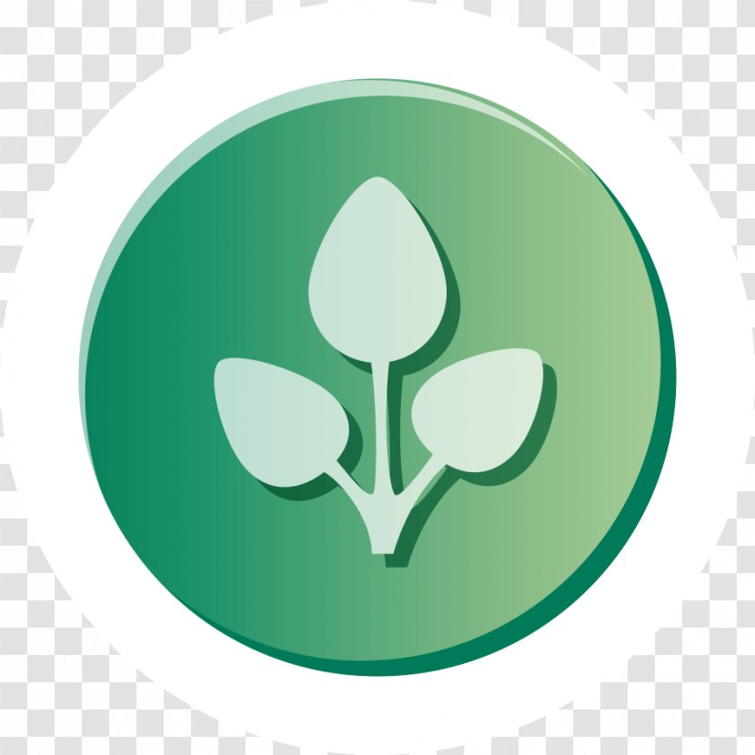 Green Symbol Logo Leaf Transparent PNG