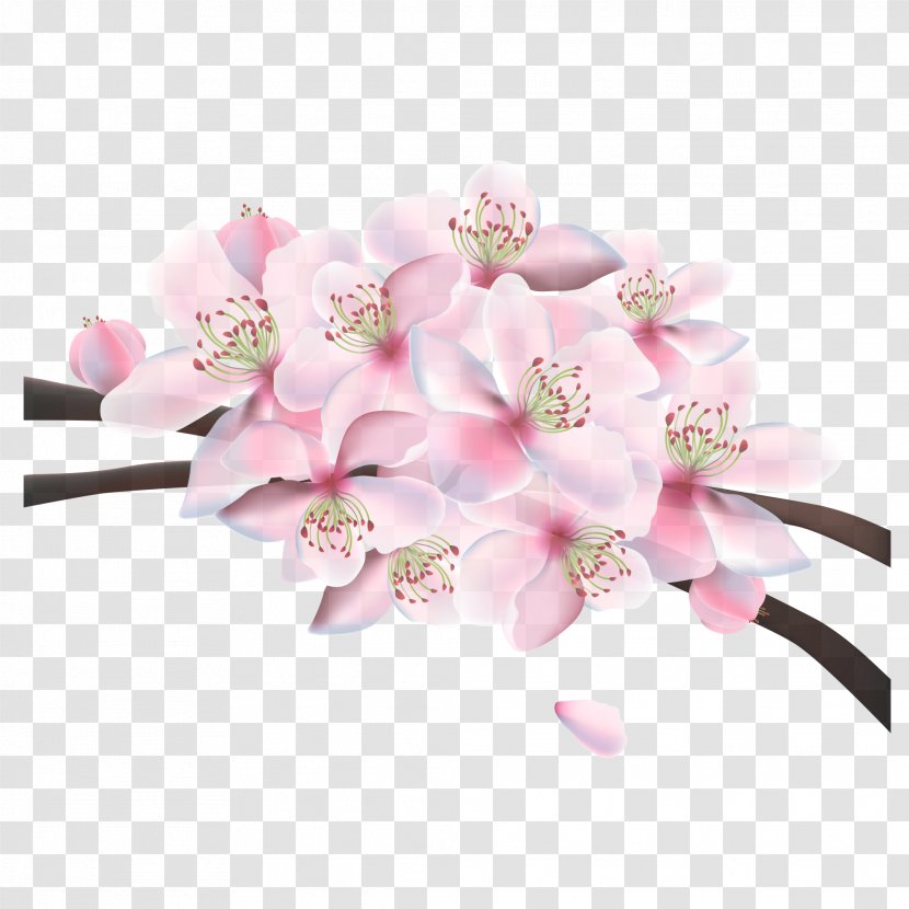 Pink Floral Design Cherry Blossom - Cerasus - Japanese Poster Material Transparent PNG