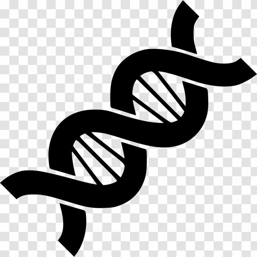 Genetics DNA - Molecular Transparent PNG