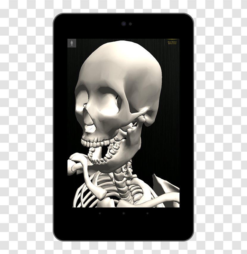 Kindle Fire DIGITAL CONTENT EXPO Android Amazon.com Amazon Appstore - App Store - Human Body 3D Transparent PNG