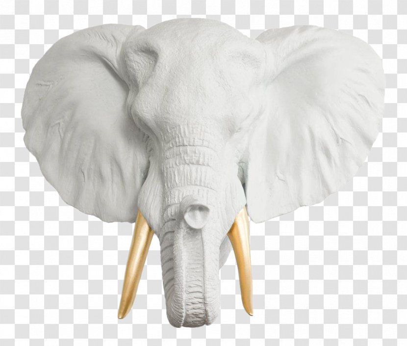 Indian Elephant African Taxidermy Ceramic Transparent PNG