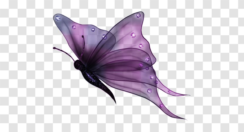 Full-Color Decorative Butterfly Illustrations Clip Art Transparency - Petal - Papillon Violet Transparent PNG