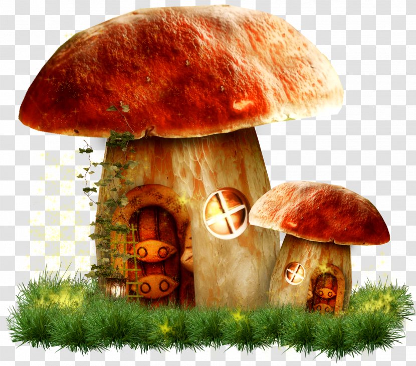 Mushroom Clip Art - Organism - House Transparent PNG