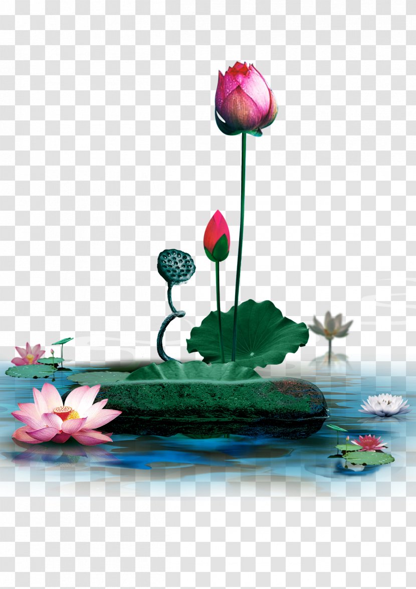 Nelumbo Nucifera Pixel - Water - Lotus Leaf Transparent PNG